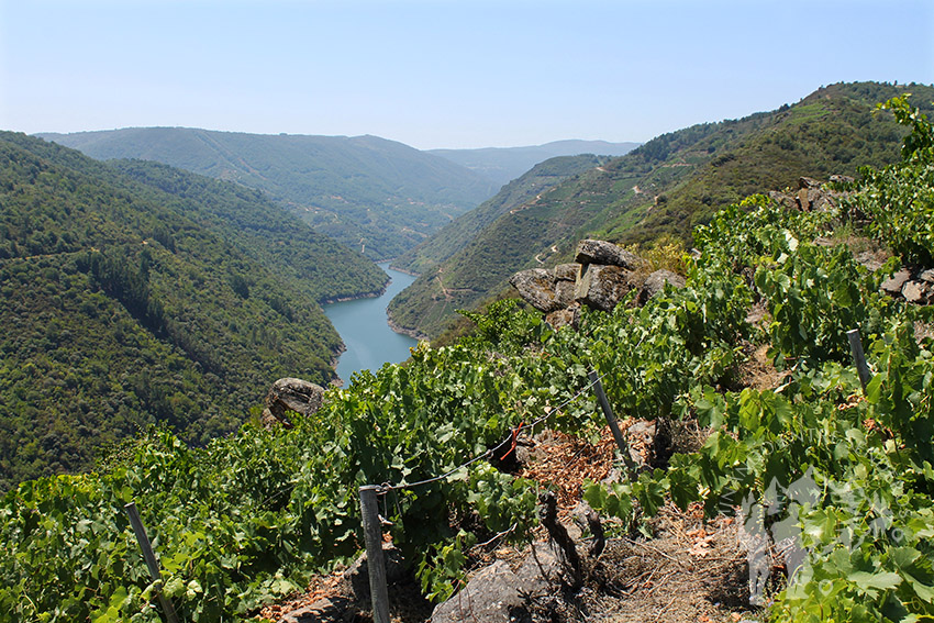 Mirador de Souto Chao (Sober)