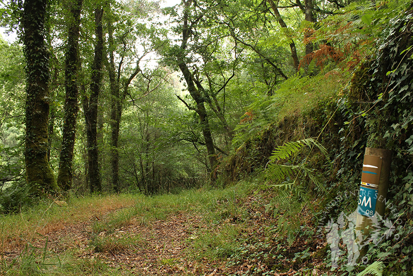 Ribera del Mandeo