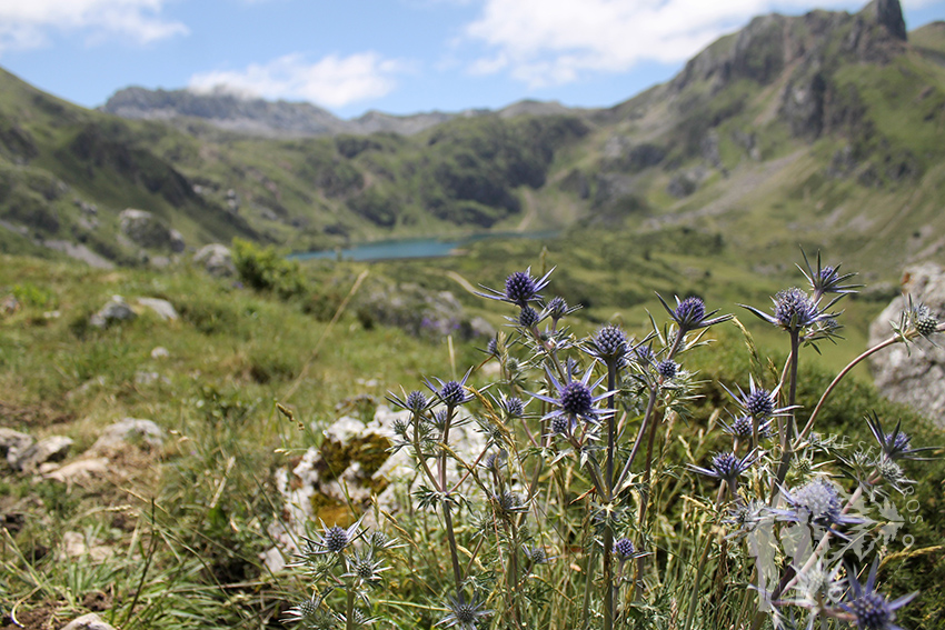 Lago del Valle