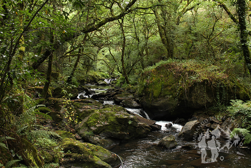 Río de Beseño