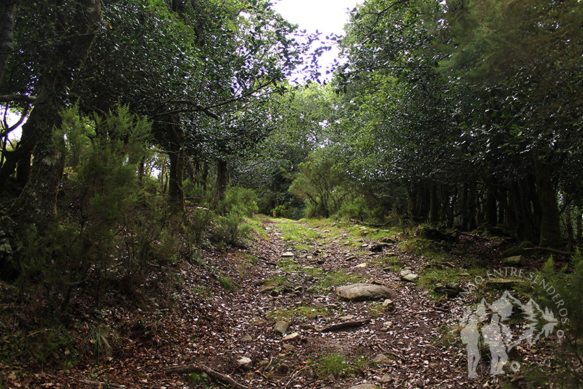Camino hacia Casavella