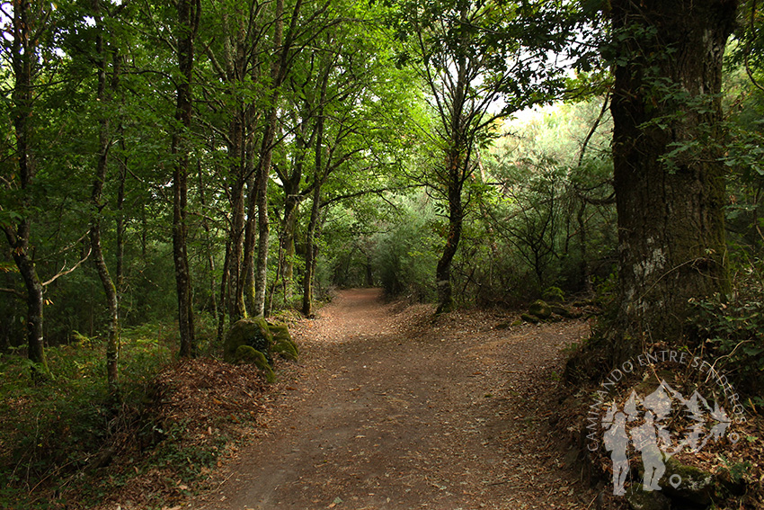 Camino hacia mirador O Cabo do Mundo