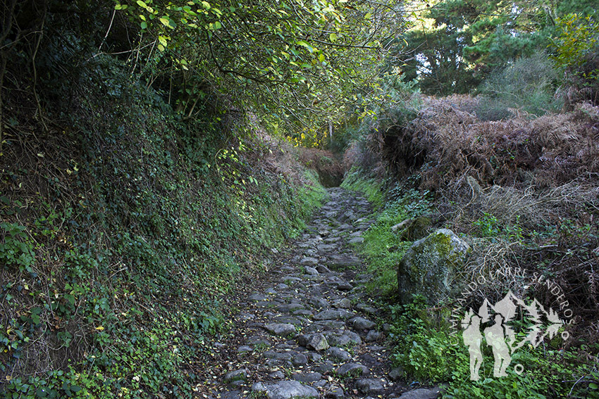 Camino Insua