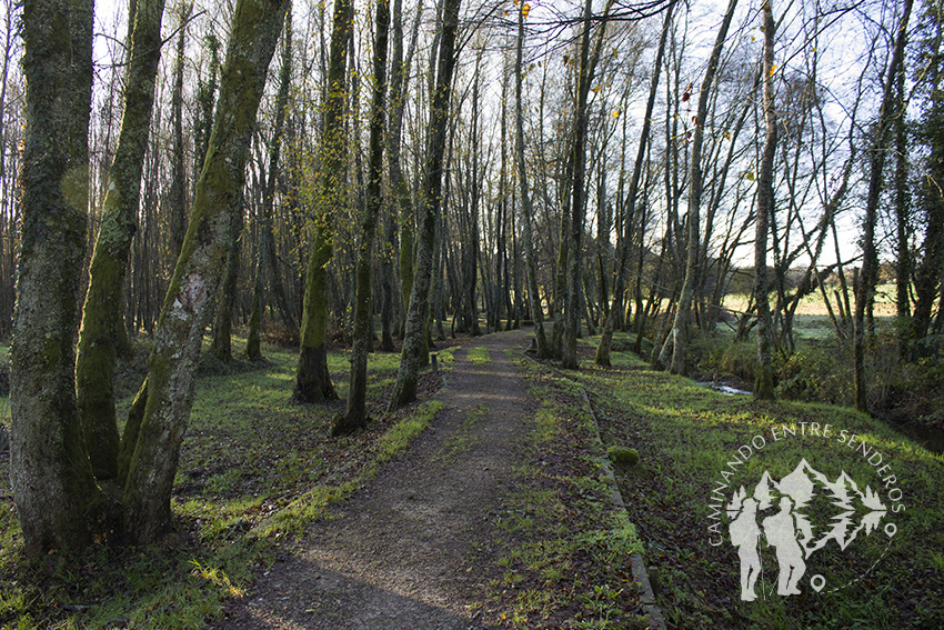 Camino Río Carregal