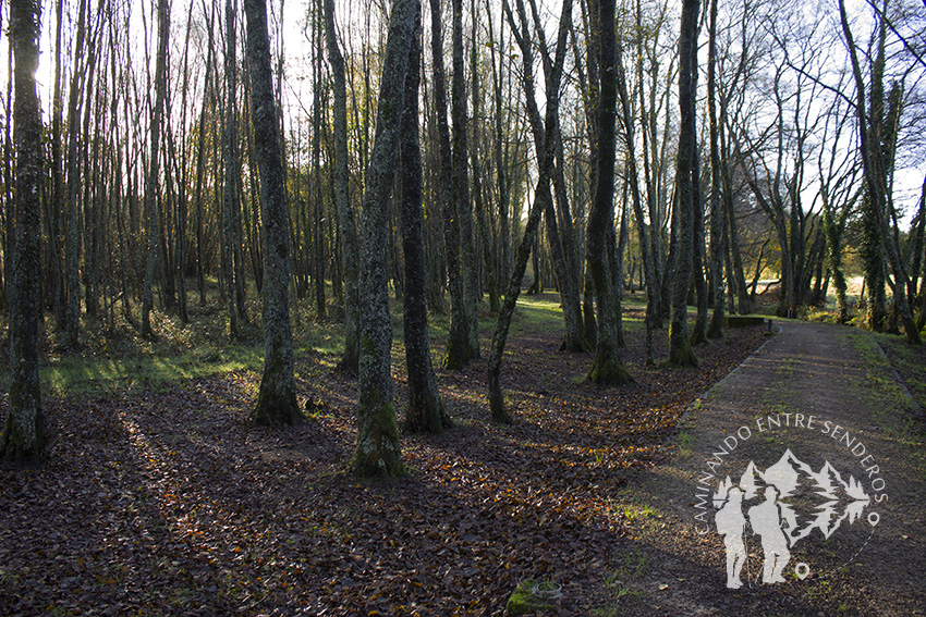 Camino Río Carregal