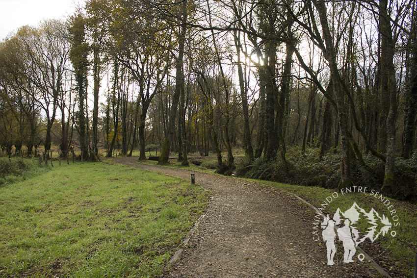 Camino Río Carregal