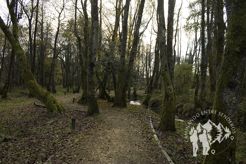 Camino Río Carregal