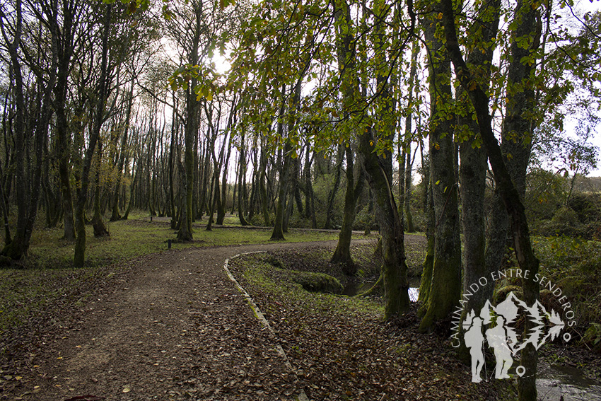 Camino Río Carregal