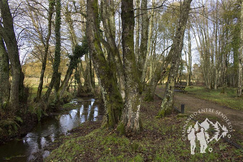 Camino Río Carregal