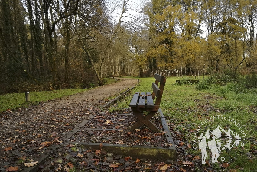 Banco Camino Río Carregal