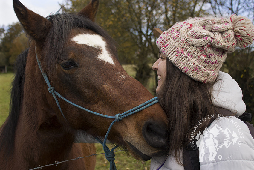 Caballo