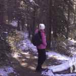 Bosque Lago Minnewanka