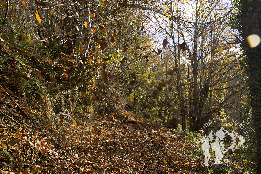 Monte Cido (O Caurel)