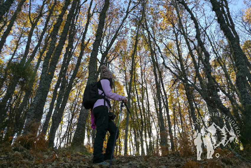 Monte Cido (O Caurel)