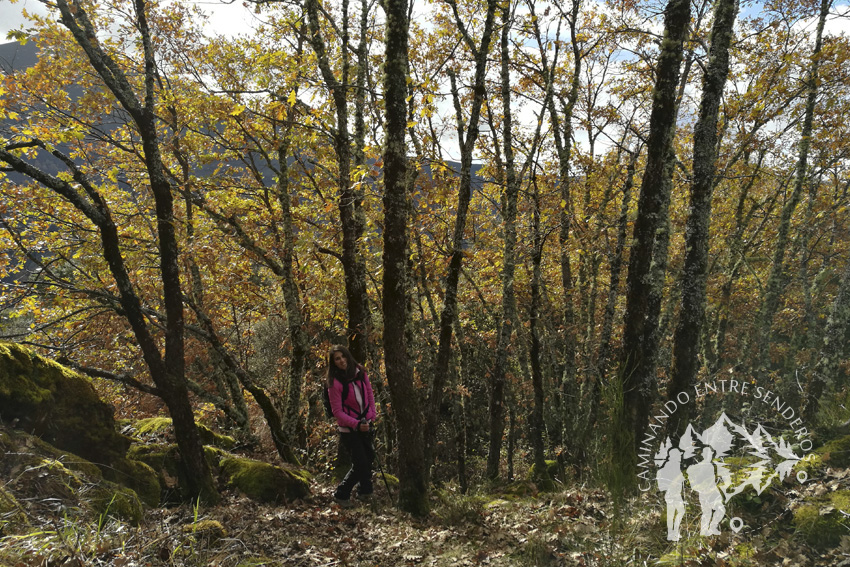 Monte Cido