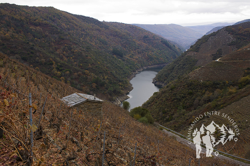 Cañón del Sil