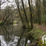 Río Sarria