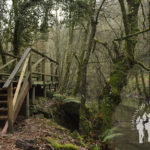 Pasarela río Sarria