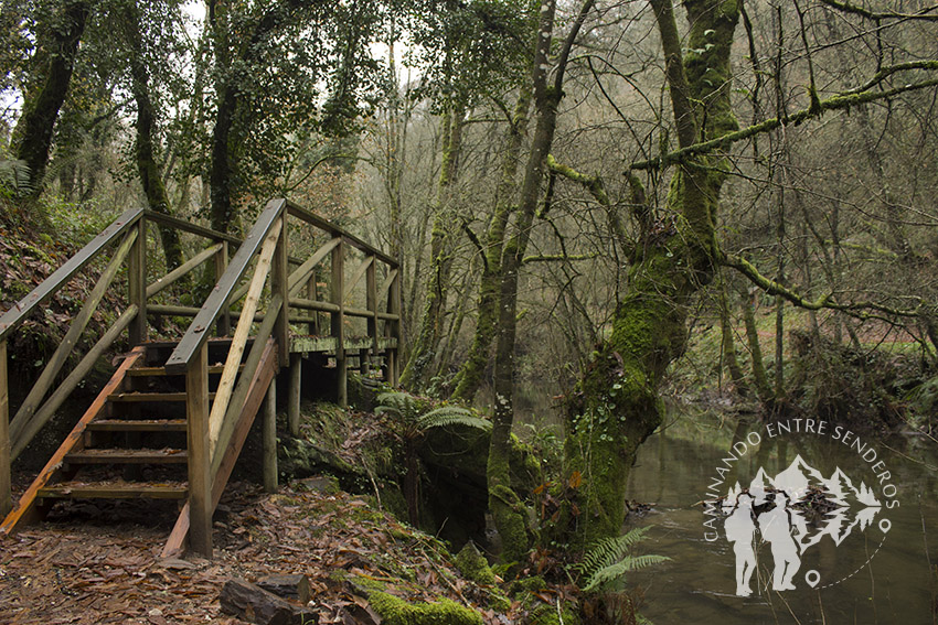 Pasarela río Sarria