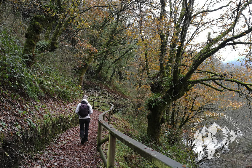 Pasarela río Sarria