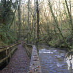 Pasarela río Sarria