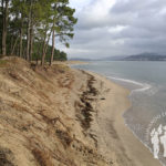 Playa A Lamiña