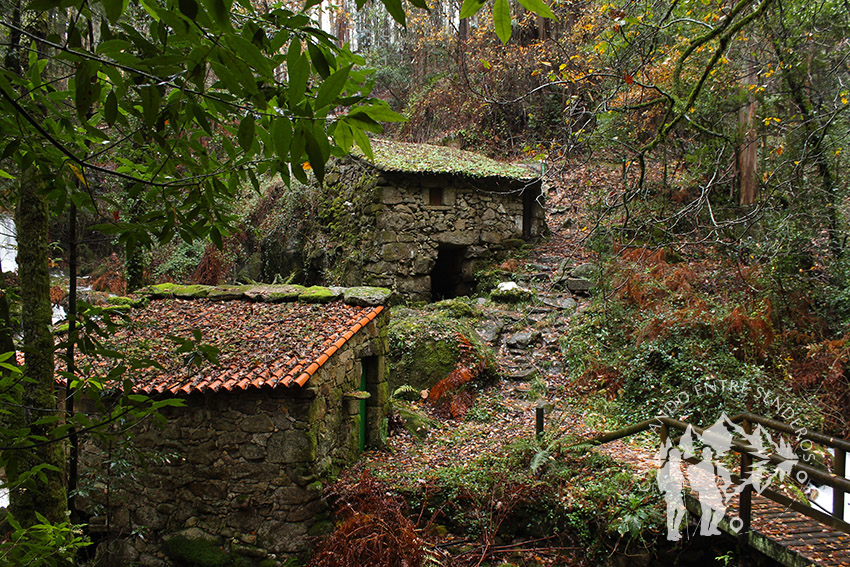 Molinos del Tripes