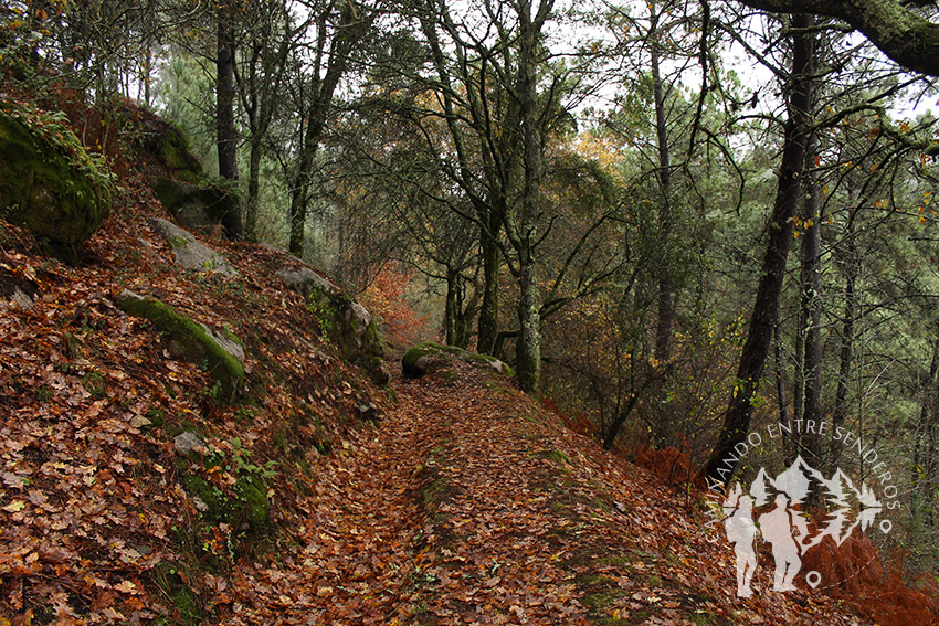 Rego de Pedra