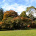 Stanley Park (Vancouver)