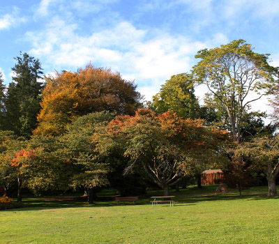 Stanley Park (Vancouver)