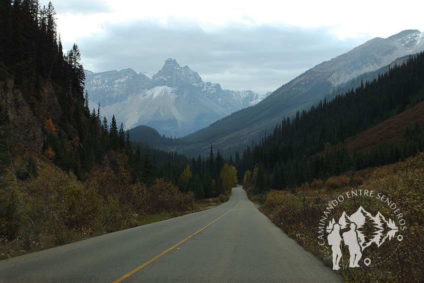 Carretera hacia Takakkaw Falls