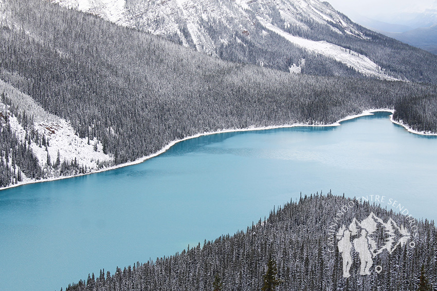 Lago Peyto (Banff)
