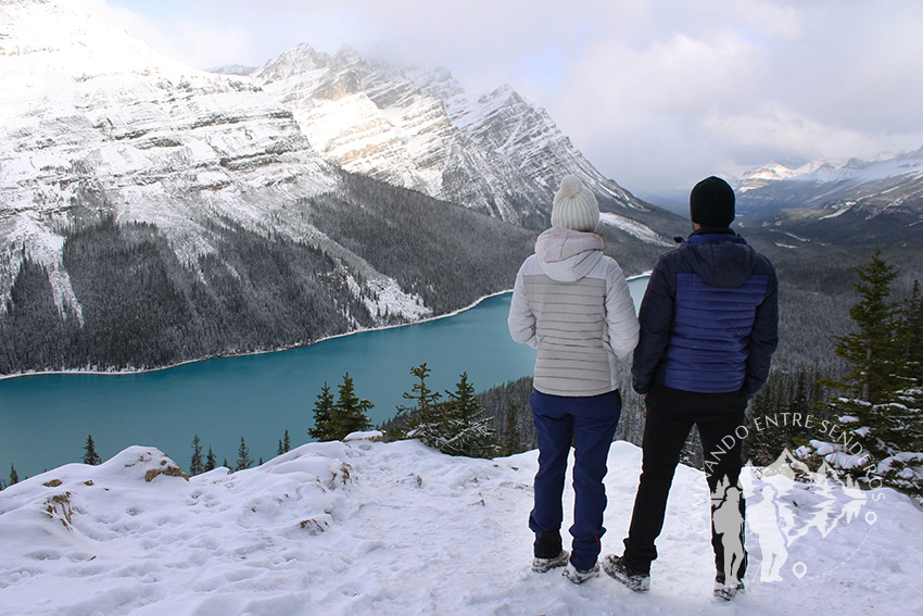 Lago Peyto (Banff)