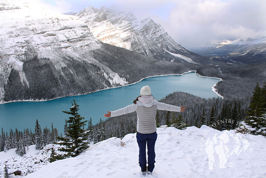 Lago Peyto (Banff)