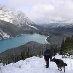 Lago Peyto (Banff)