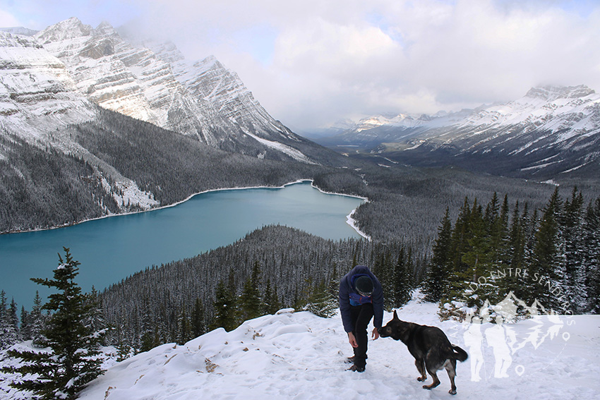 Lago Peyto (Banff)