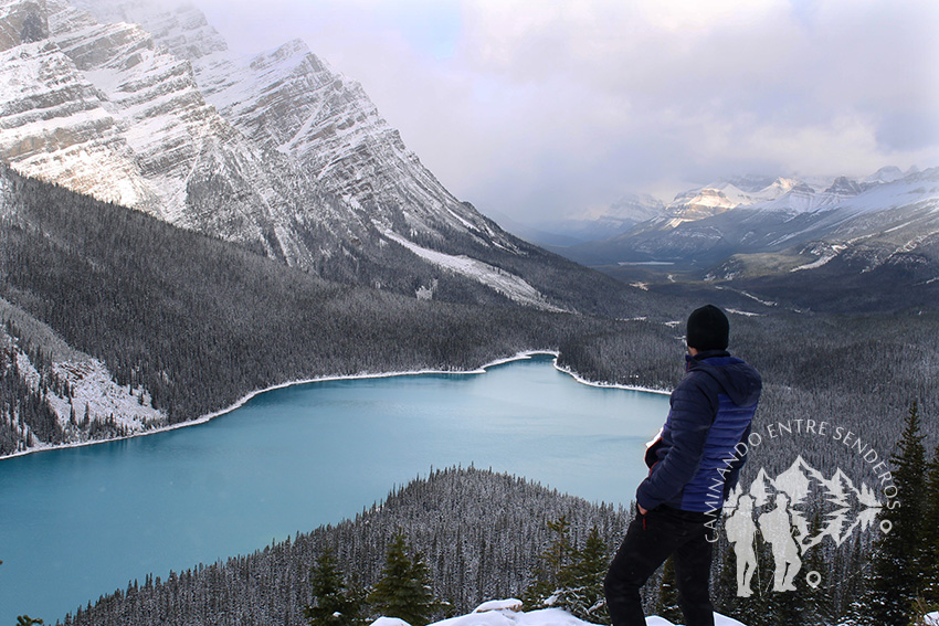 Lago Peyto (Banff)