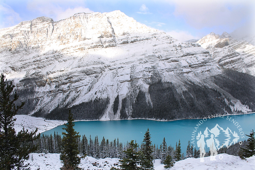 Lago Peyto (Banff)