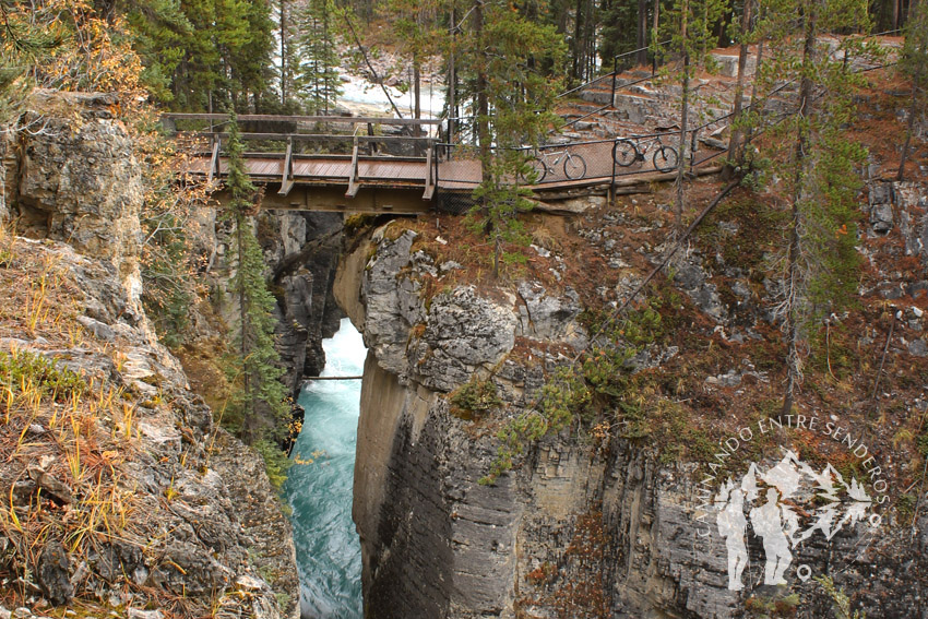 Sunwapta Falls (Jasper)