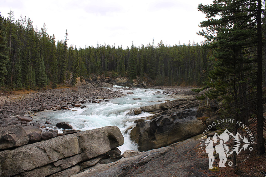 Sunwapta Falls (Jasper)