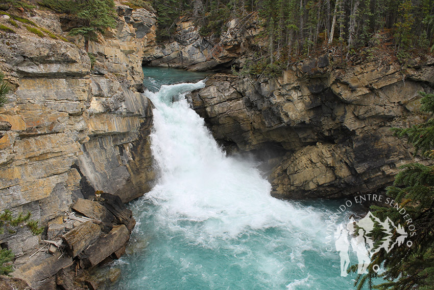 Sunwapta Falls (Jasper)