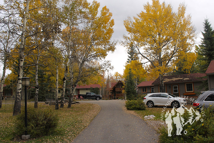 Patricia Lake Bungalows