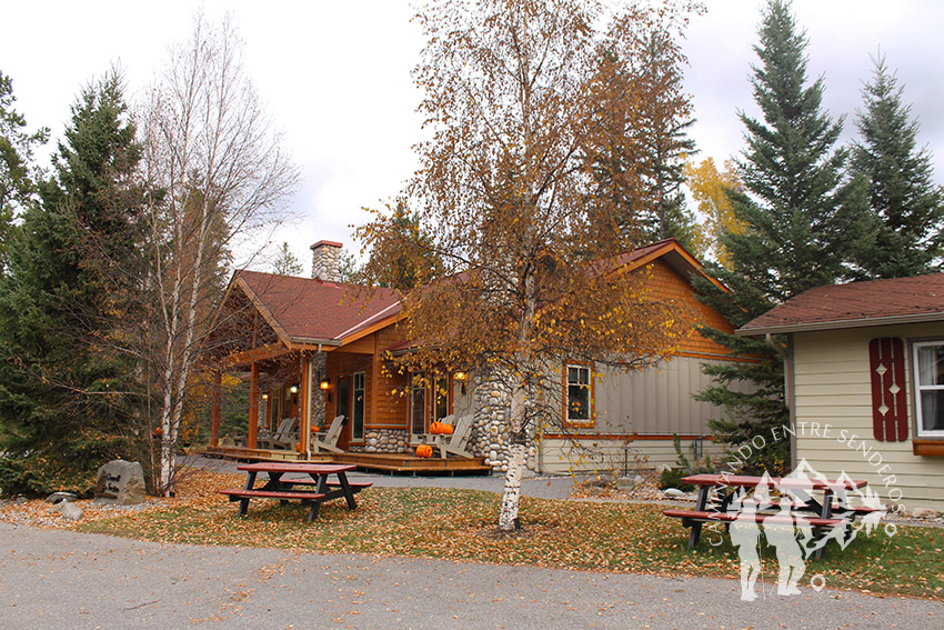 Patricia Lake Bungalows