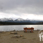 Lago Patricia (Jasper)