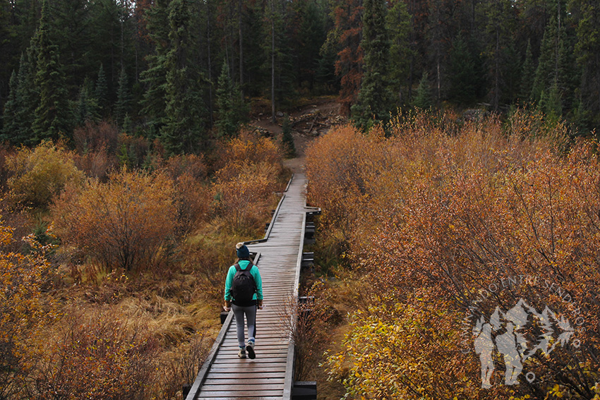 Pasarela madera Wabasso Creek