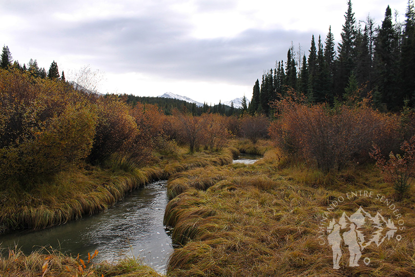 Wabasso Creek