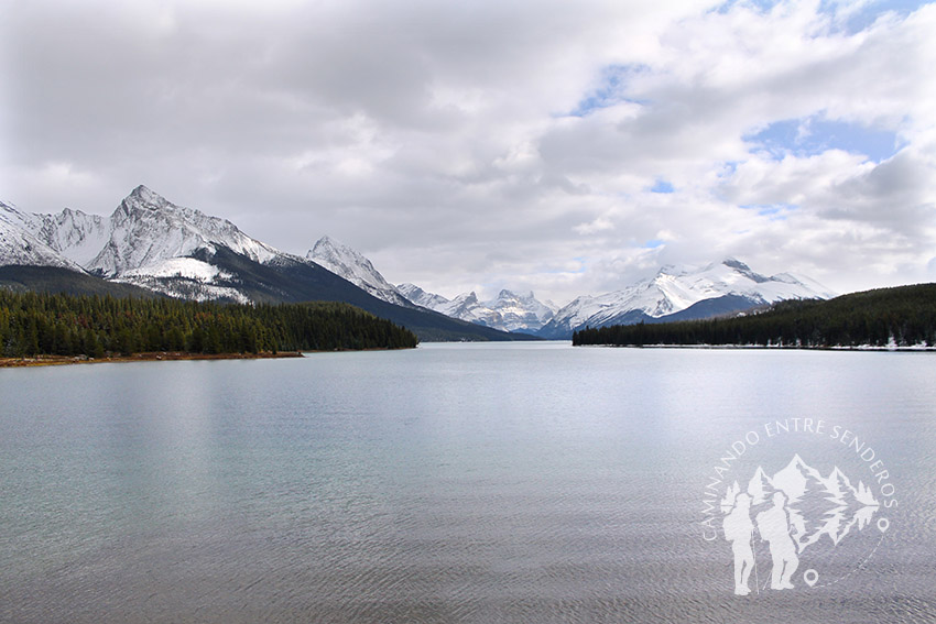 Lago Maligne (Jasper)