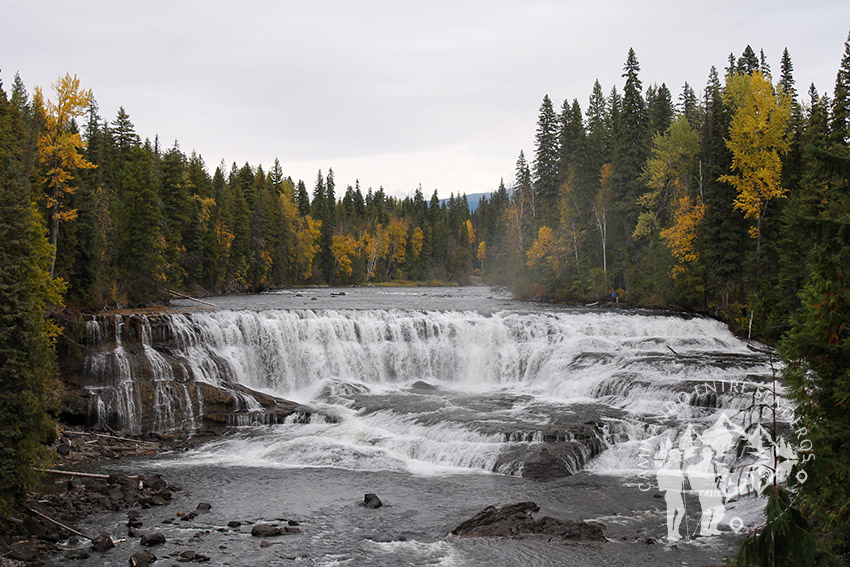 Dawson Falls (Clearwater)