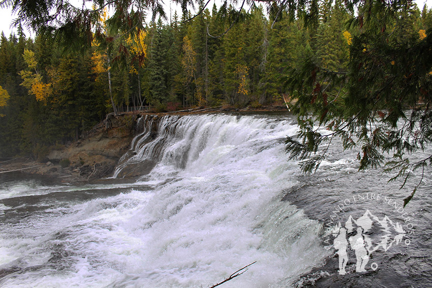 Dawson Falls (Clearwater)