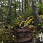Rainbow Falls (Whistler)